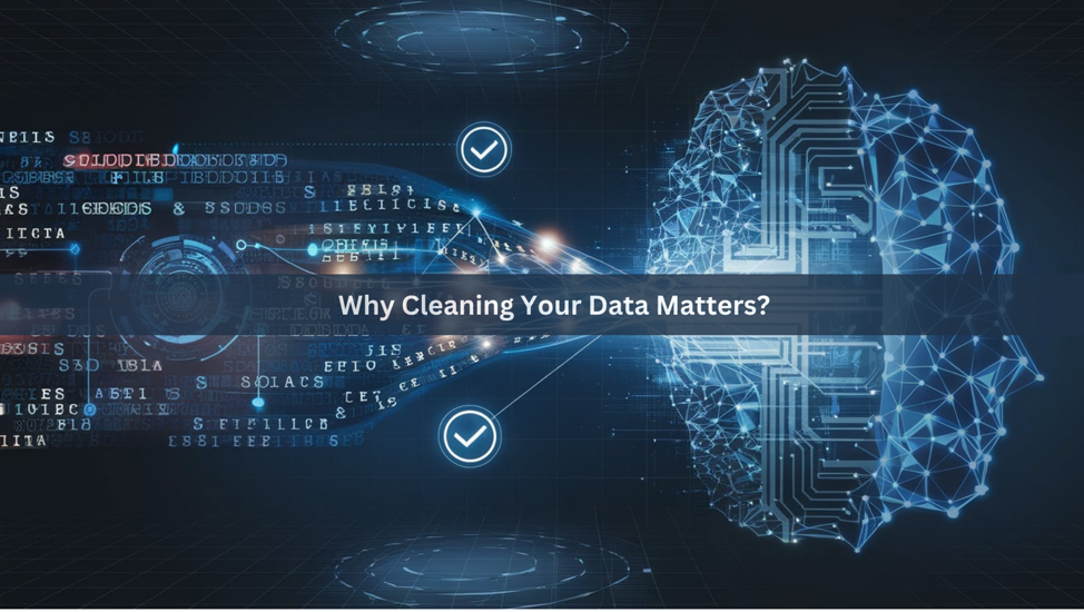 Data Cleansing – A Necessity for Reliable AI Models